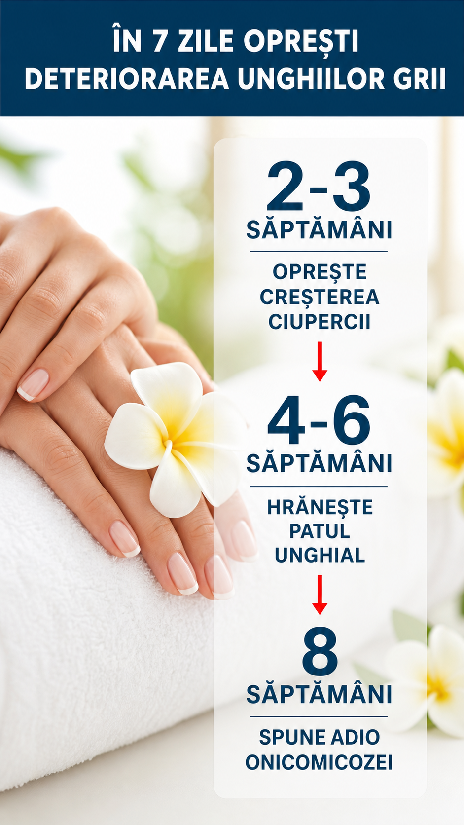 Cremă Antifungică